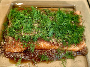 gravlax ready to cure